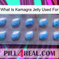 What Is Kamagra Jelly Used For viagra3